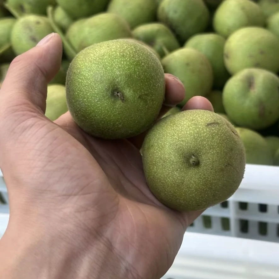 文玩核桃把件四座楼青皮 拍1发4