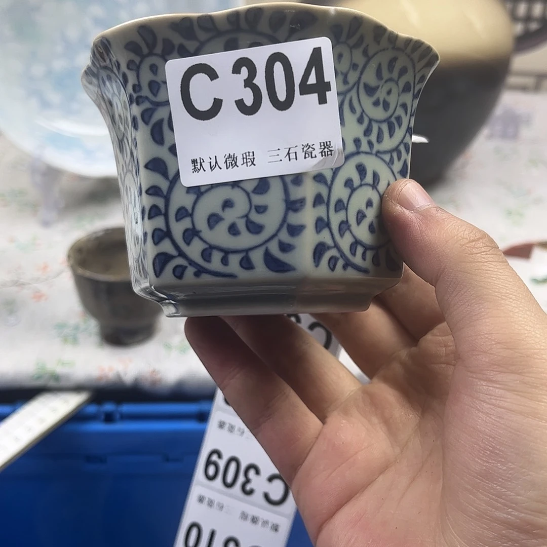 瓷片玉*aaaaaaaaaC304