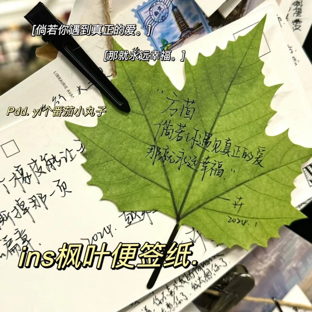 枫叶便签叶子明星仿真手工文案创意留言贴纸