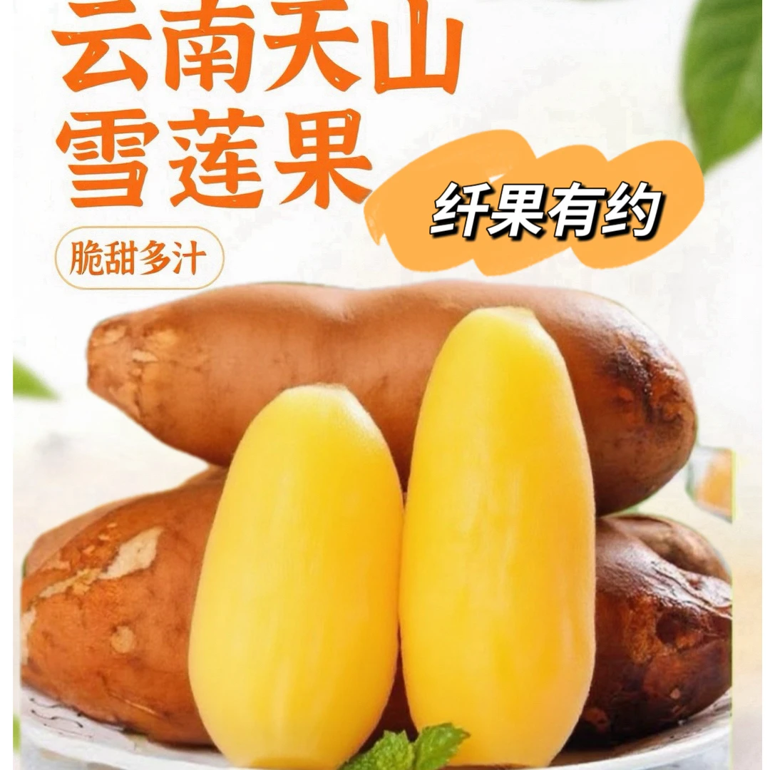 BY【纤果有约】正宗云南天山雪莲果低糖清甜新鲜现挖现发