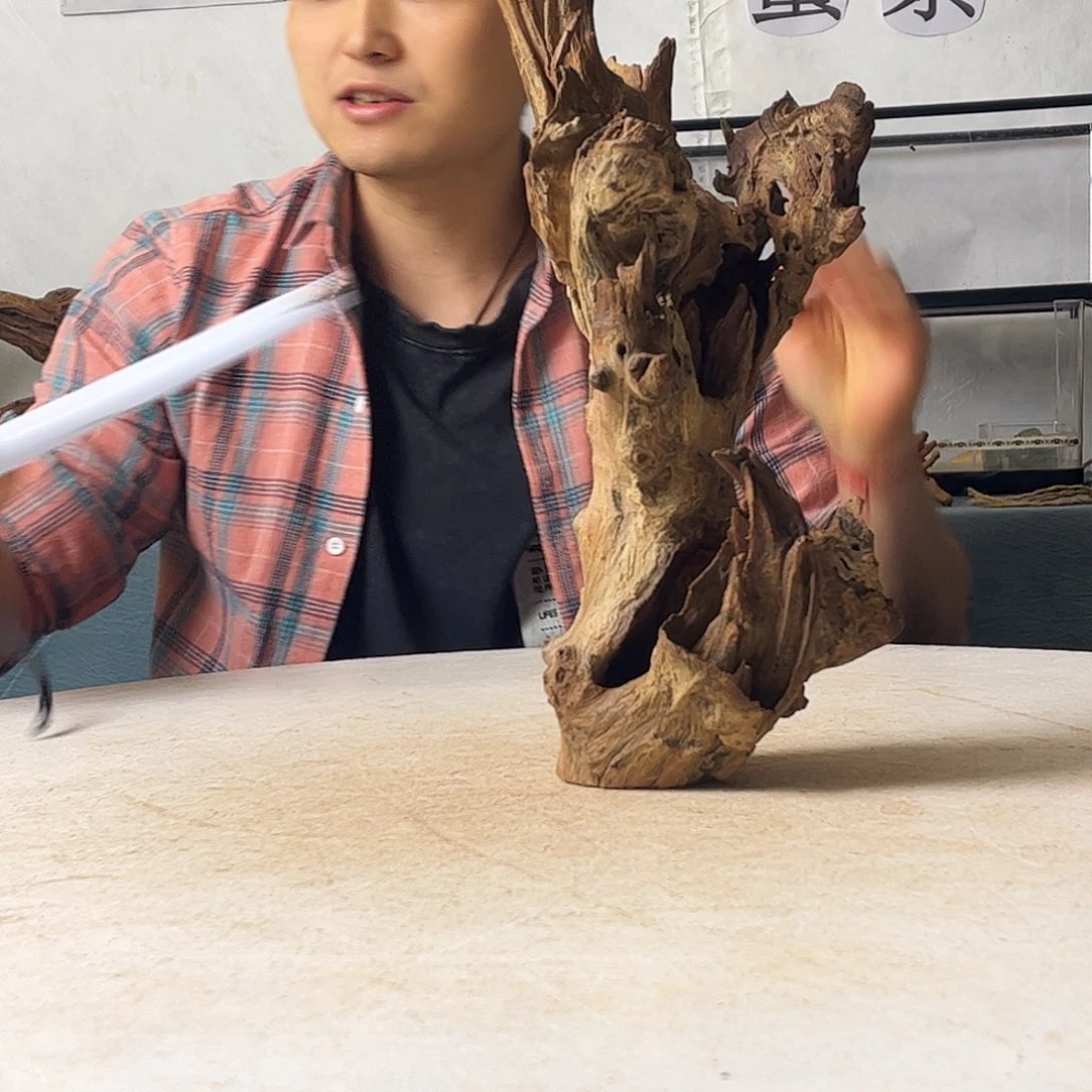 15.42.13 沉木造景爬宠造景