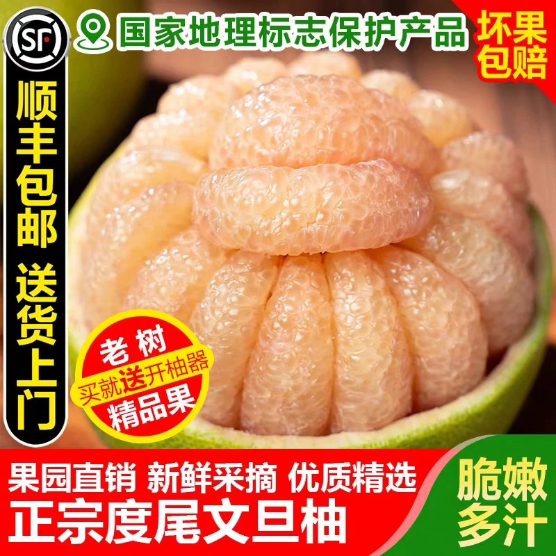 -/纳学《顺丰包邮》福建度尾文旦柚现摘新鲜多汁香甜可口！
