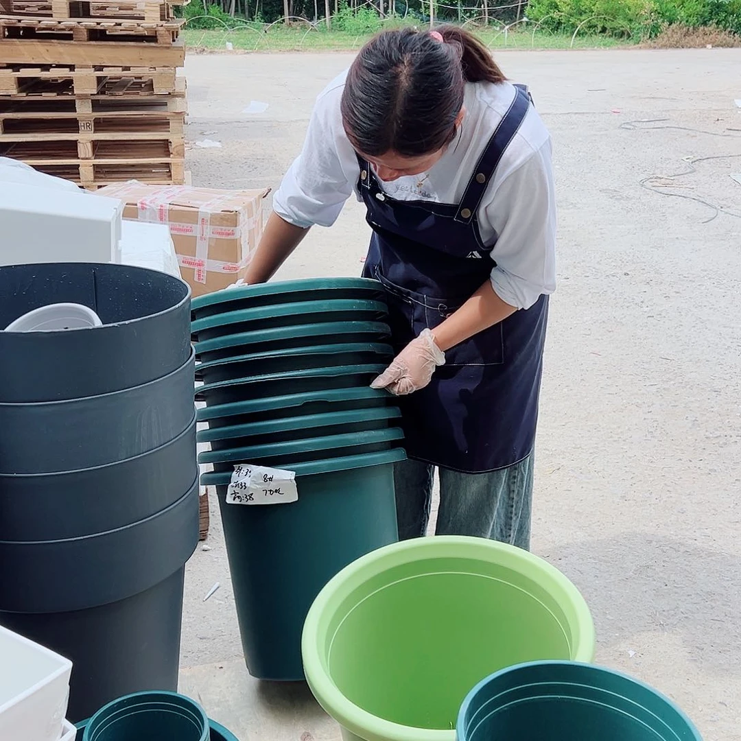 瑕疵四季盆8#墨绿色3个无托