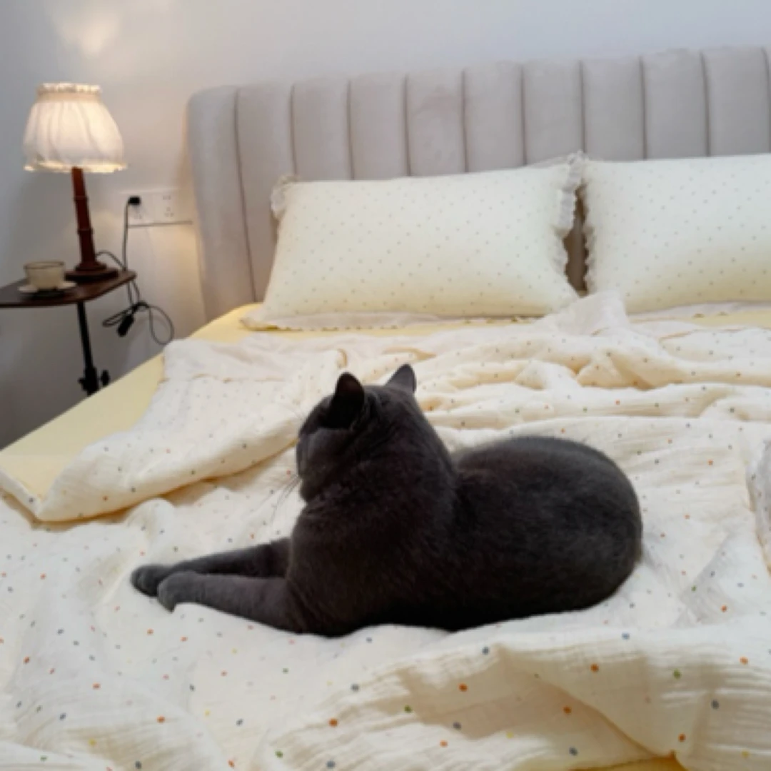 （夏被/被套四件套）新款纯棉双层皱皱纱大豆夏凉被空调被四件套