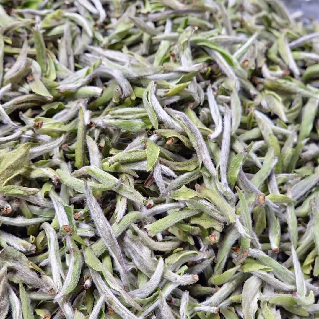 特级荒野白毫银针磻溪核心产区高山茶