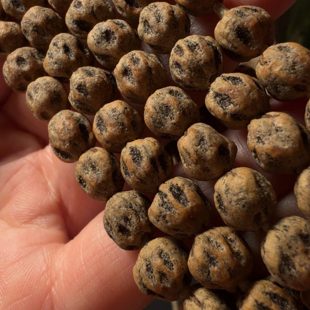 狗***哥吊坠柏香籽/百香籽