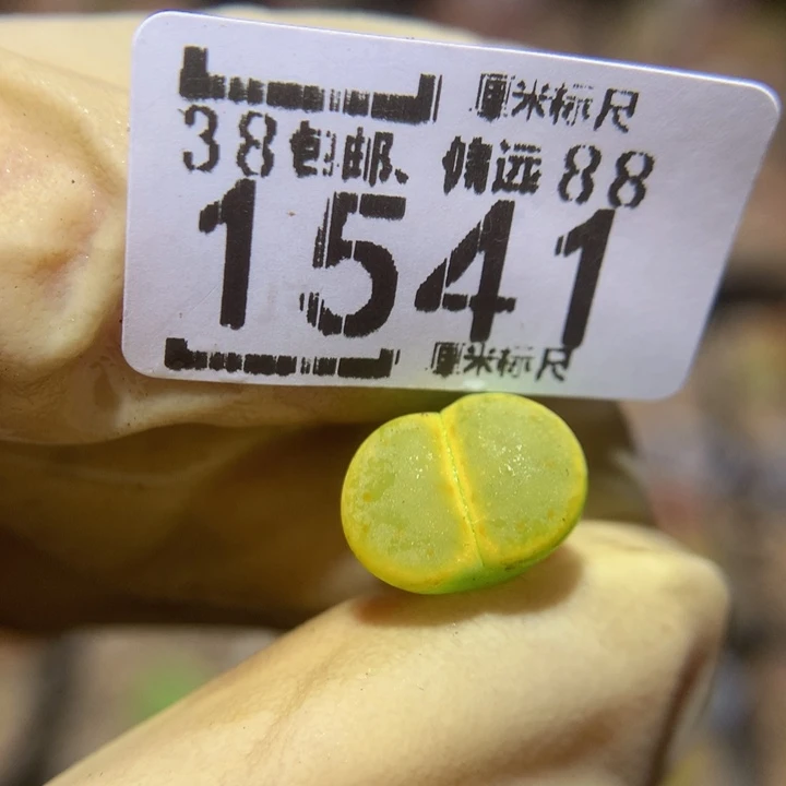 三*Sss精品生石花1541