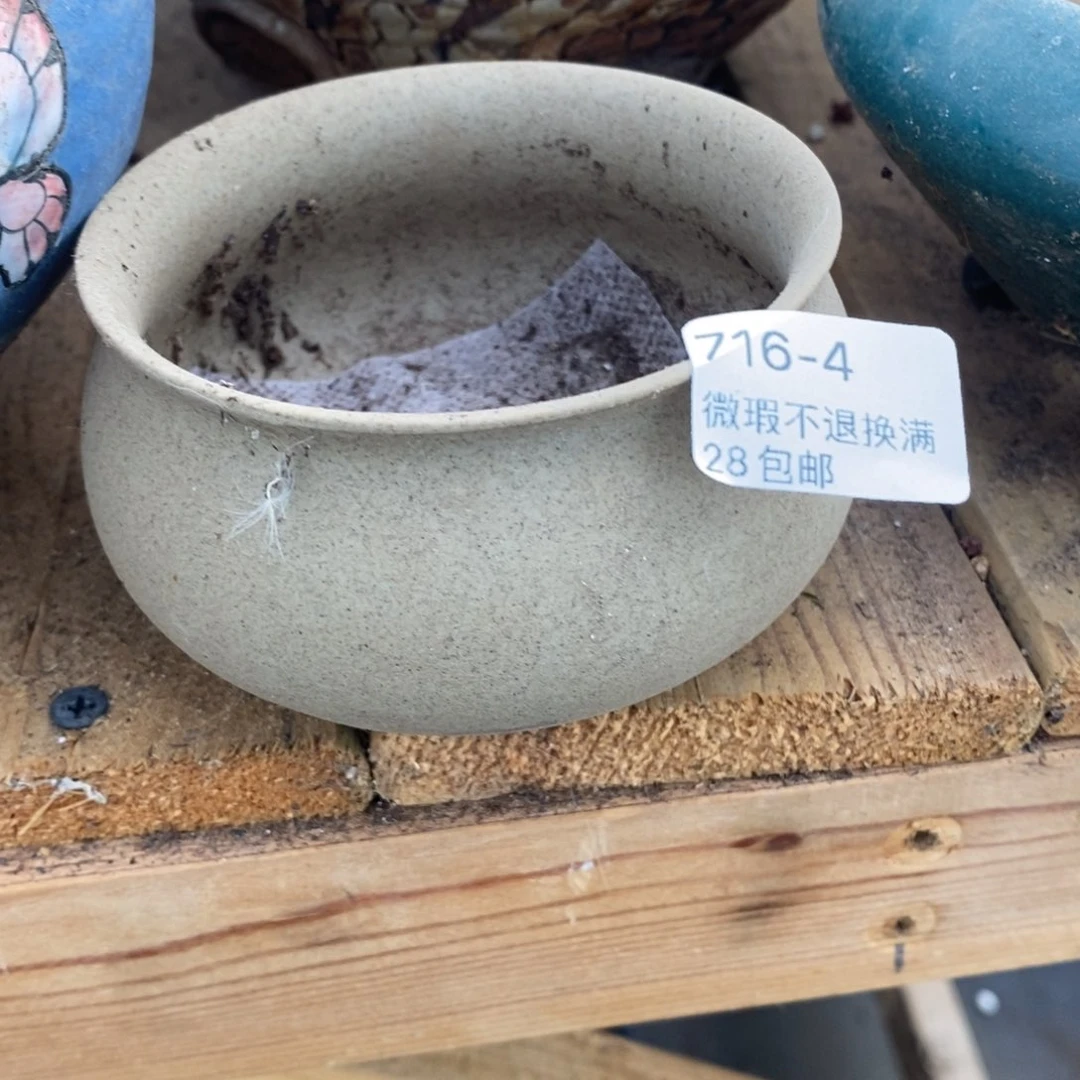 4号多肉盆口径8小可爱