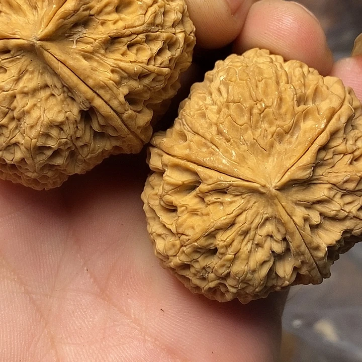 文玩核桃把件云南铁核桃55