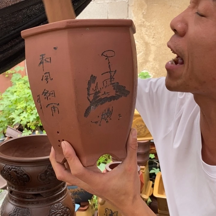 紫砂紫砂紫砂紫砂