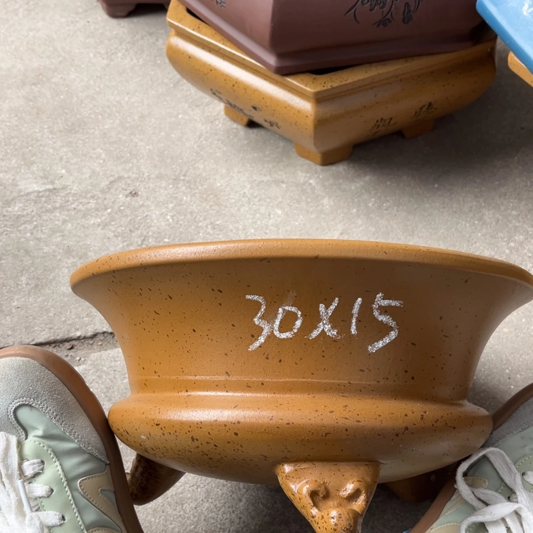 紫砂花盆盆景艺术