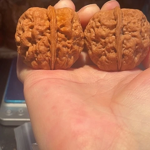 把件文玩核桃麻铁带彩42磕尖