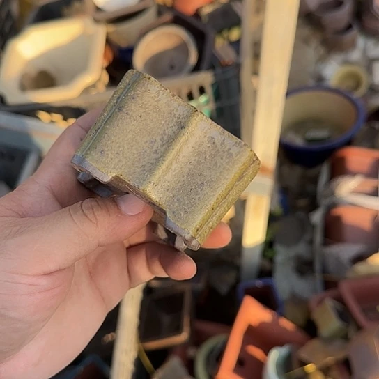 是的呀哈哈是这样哈哈不错了这个视频