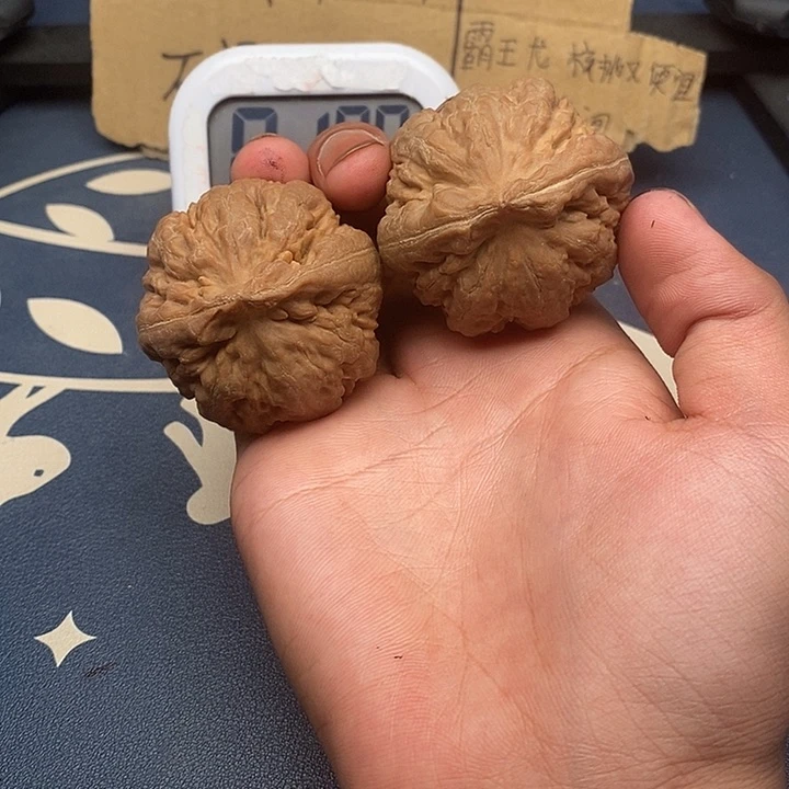 小***梦文玩核桃吊坠霸王龙