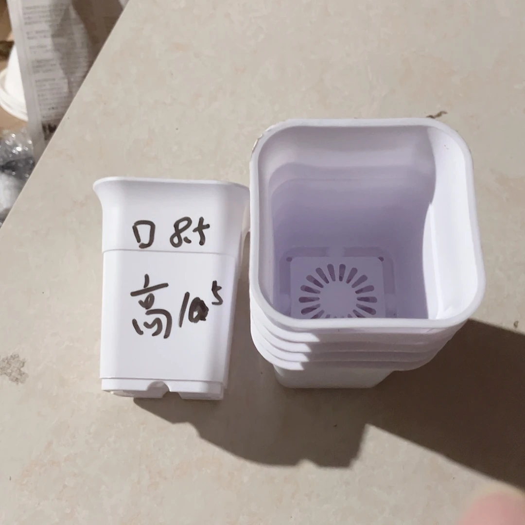 塑料加厚8.5方口万象白色盆10个无托