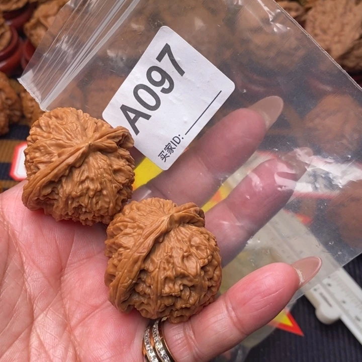 文玩核桃把件白狮子41尺097号