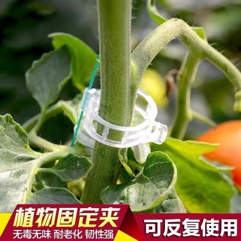 捆扎绑蔓夹绿植果树植物固定夹卡扣藤蔓固定器秧苗爬藤支撑杆果蔬