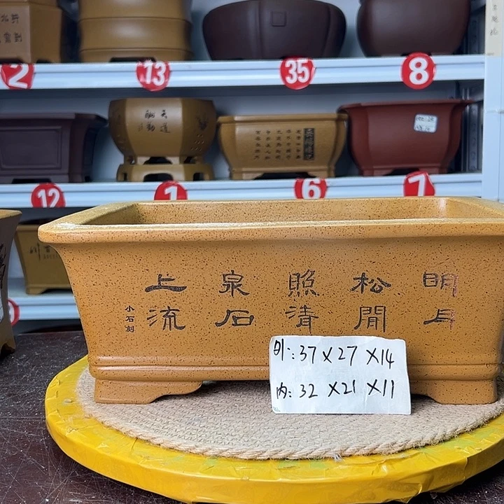 紫砂花盆蛇年大吉