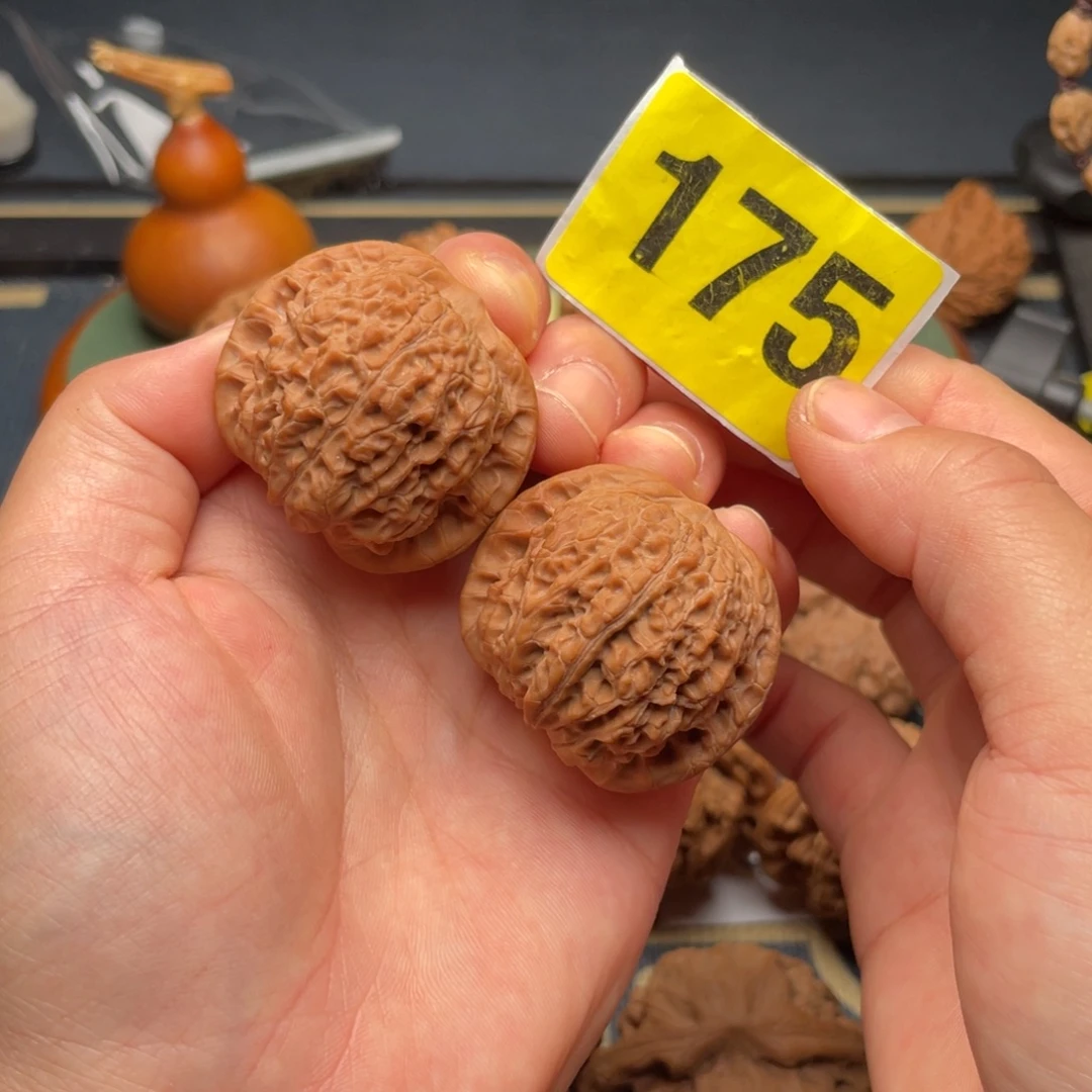 把件文玩核桃37.5全品血麒麟175号