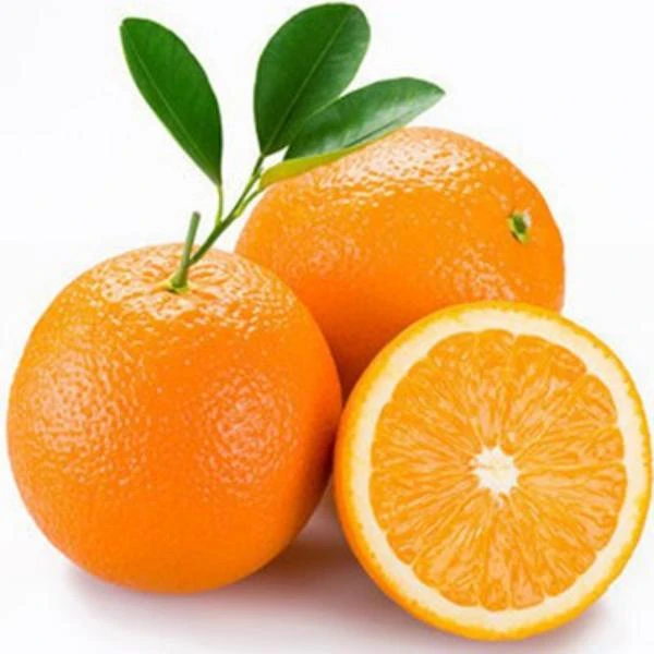赣南脐橙（5斤左右）