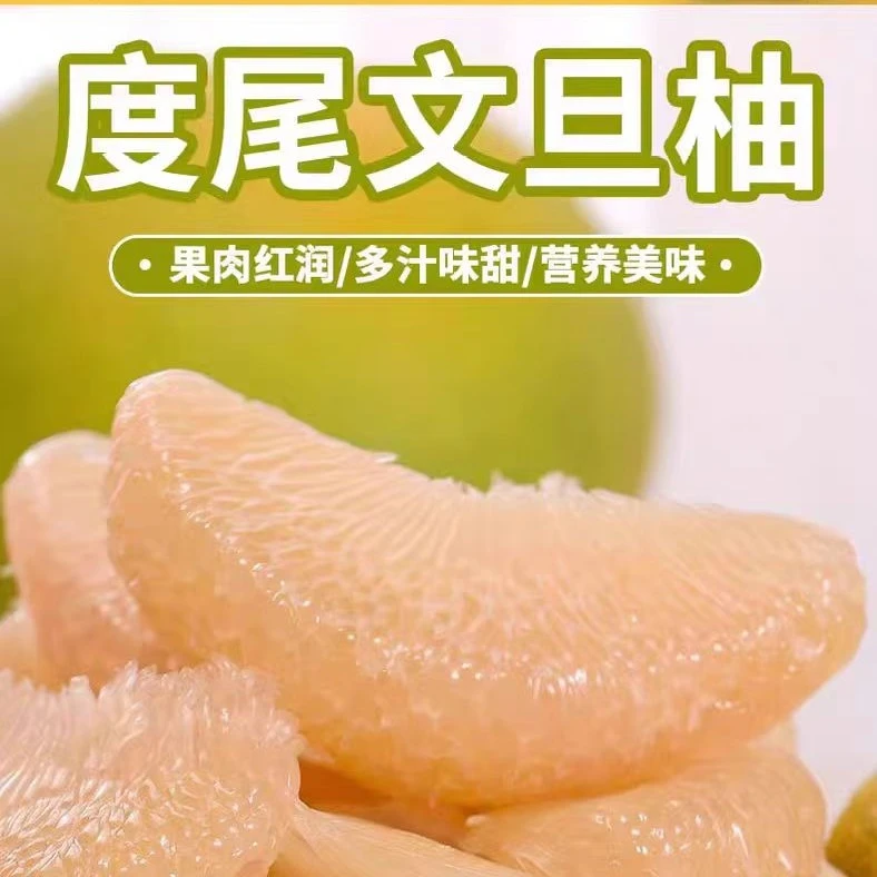 【卡佳推荐】正宗仙游度尾文旦柚肉嫩汁多细腻