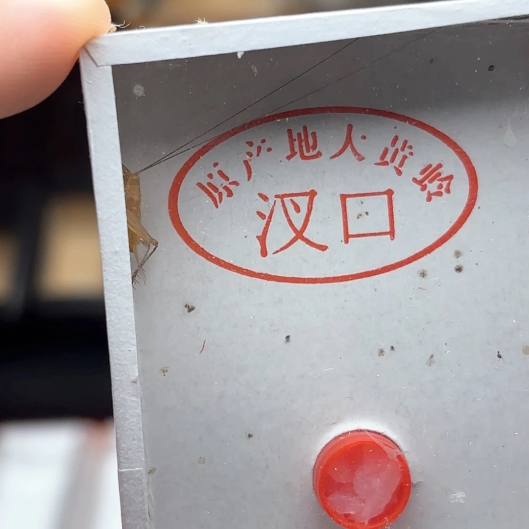 哈哈哈哈哈哈就哈