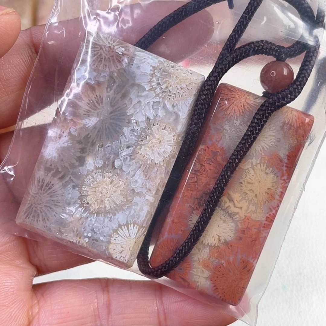 【闪购商品】硅化玉吊坠(赠链)未镶嵌乌****子