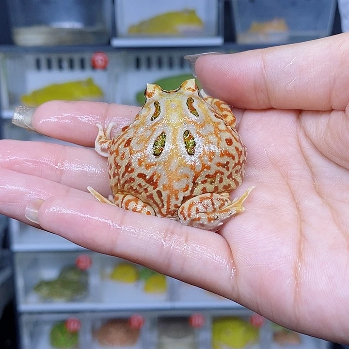 特价秒杀现货特价残