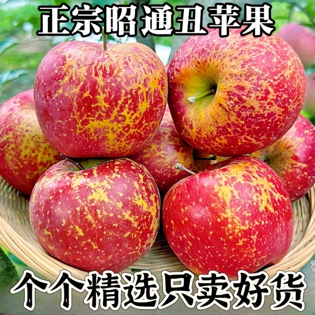 云南昭通冰糖心红富士丑苹果脆甜多汁新鲜当季水果现摘产地2斤起