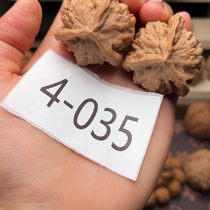 核桃38盘山三棱4035