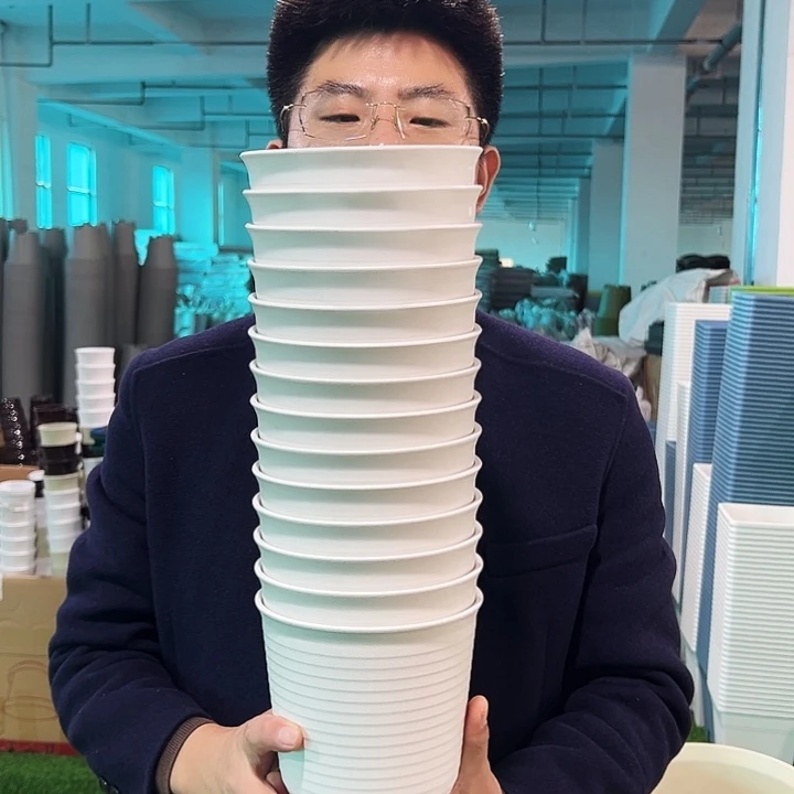 正品高陶口15高15白色8只无托