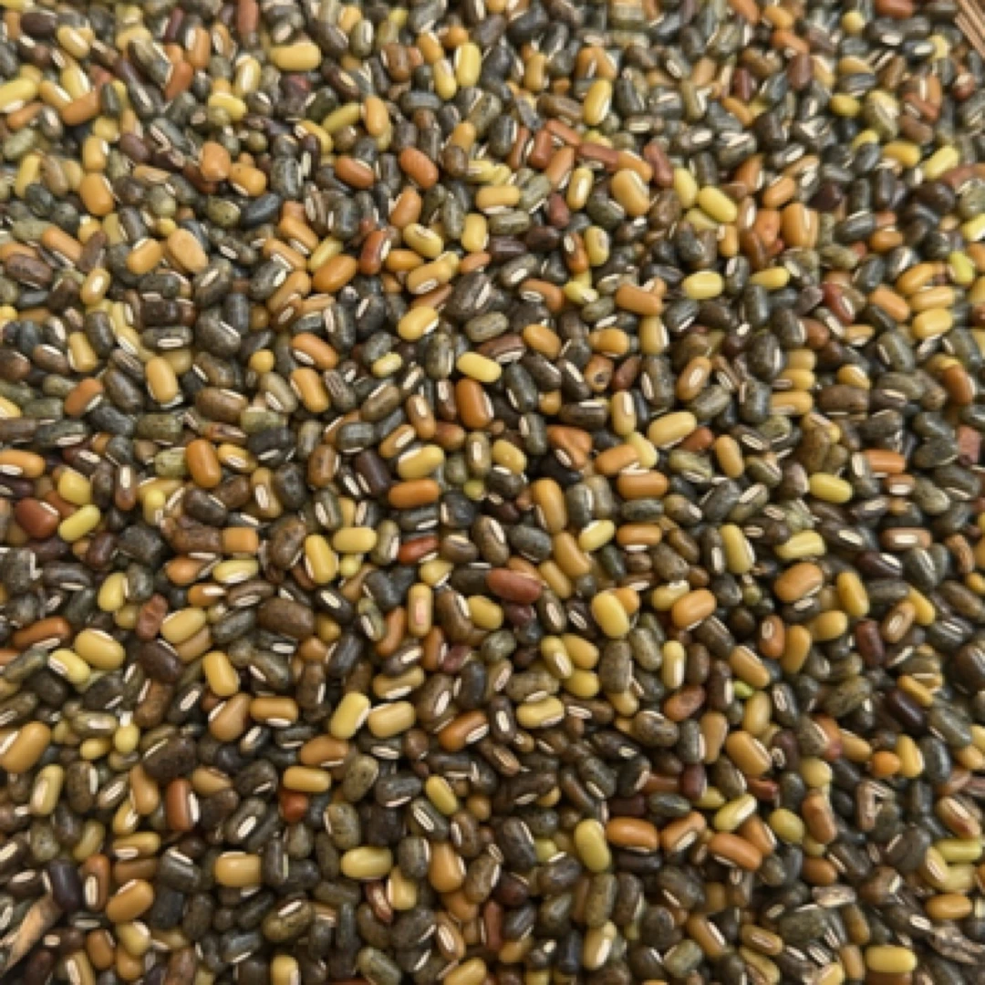 深山好货 源自农家【精选-饭豆