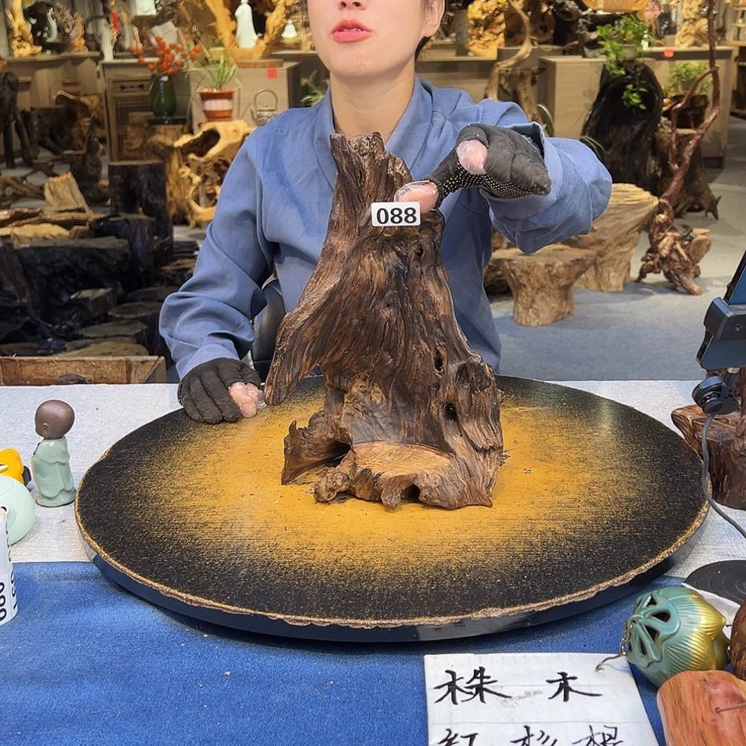 林***砂木088wqwwwwwwwwwwwwww