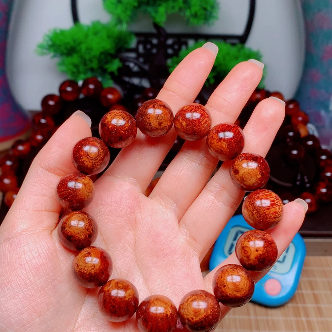 黄花梨/降香黄檀苗*峰Q3w 1.5