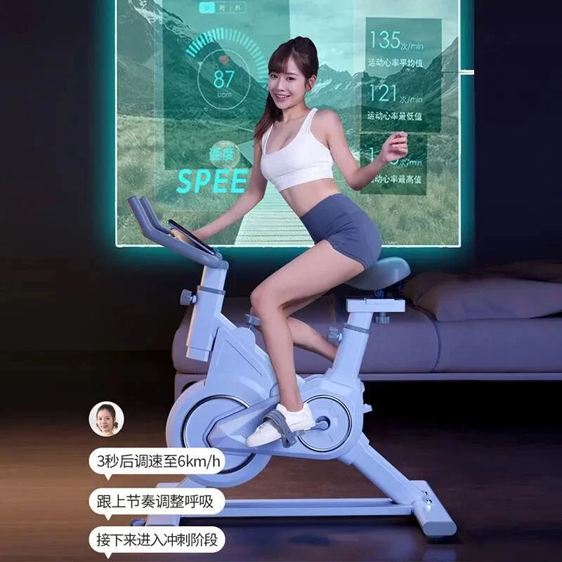 磁控家用静音款动感单车室内智能运动健身自行车小型静音健身器材