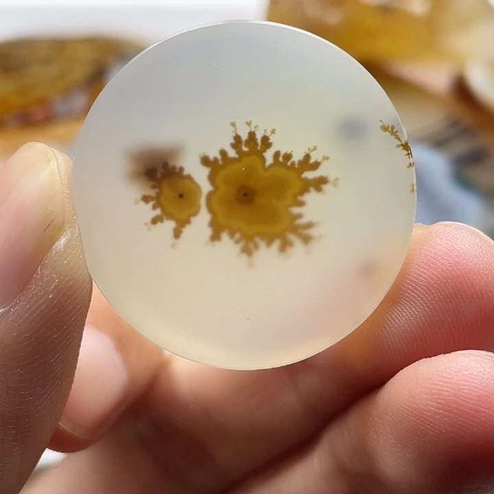 石***爱玛瑙/玉髓未镶嵌颈饰