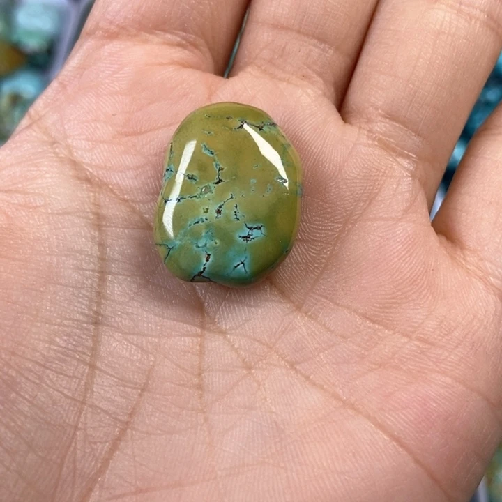 绿松石未镶嵌颈饰蜗*