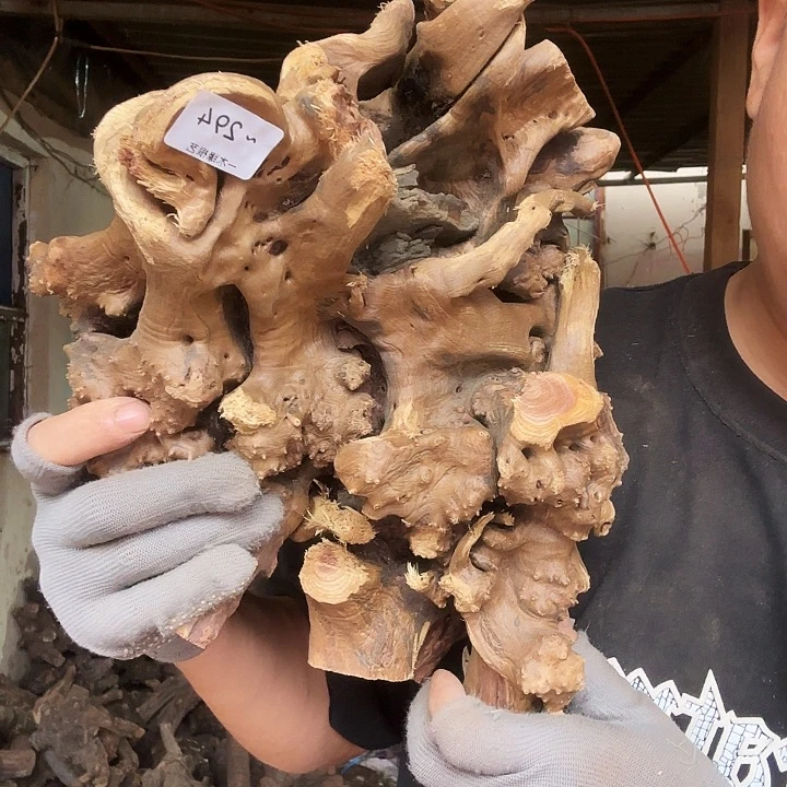 饮***源无花朵00000000000294