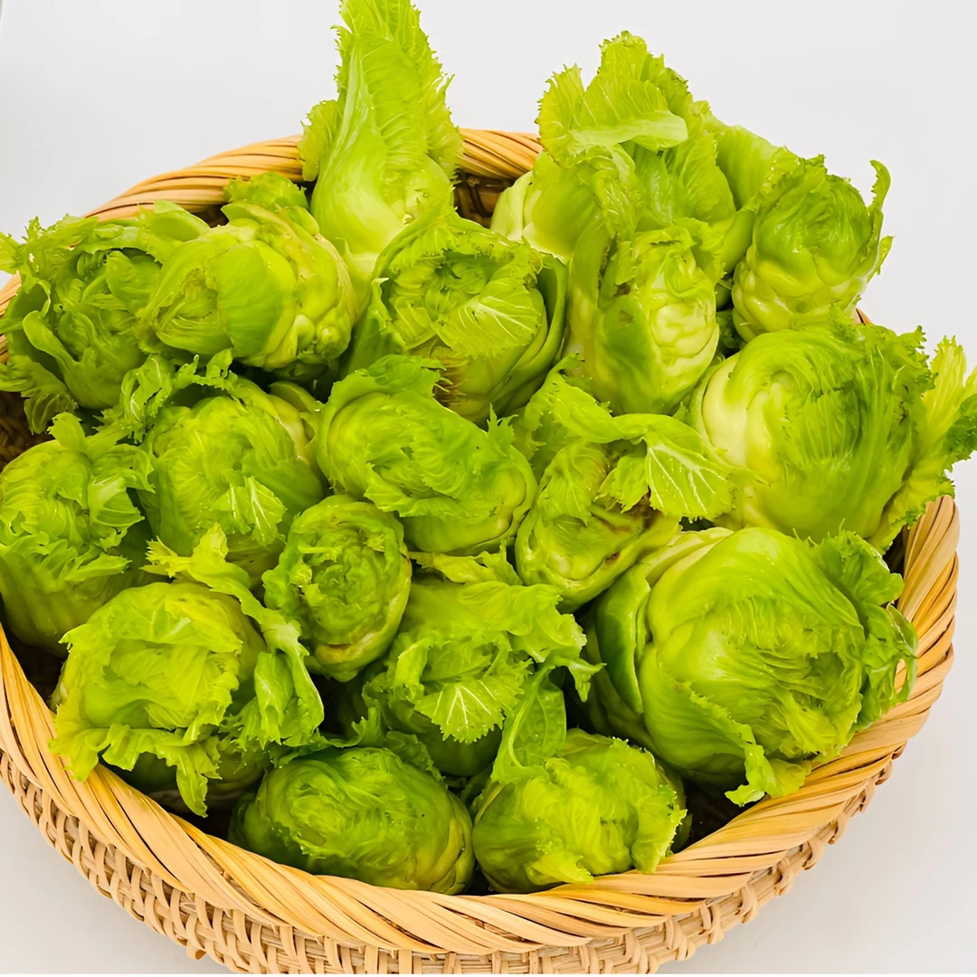 四川新鲜儿菜农家自种儿菜儿子