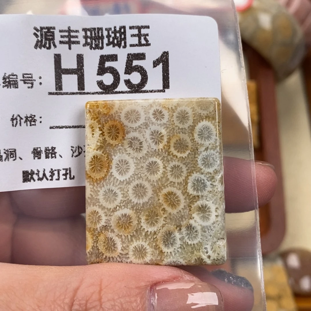 硅化玉颈饰未镶嵌这***子