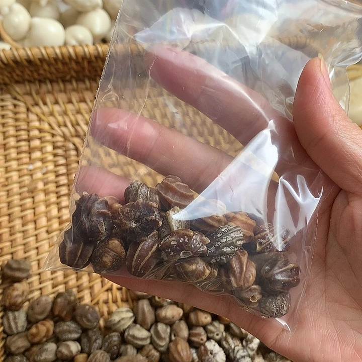 【***】吊坠千眼菩提龙脊菩提