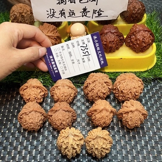 桃核把件核桃大礼包5对7351