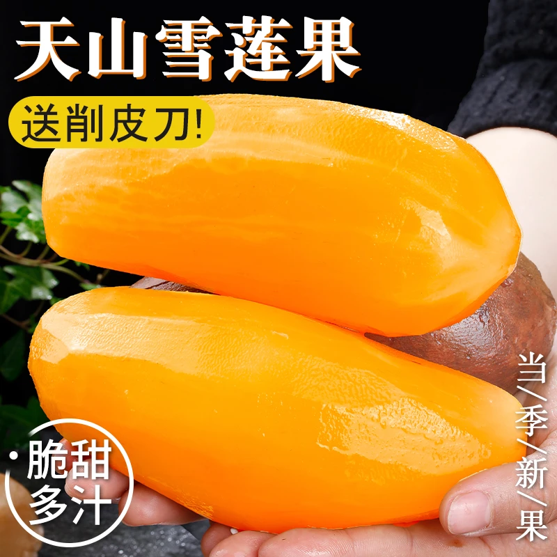 云南天山雪莲果新鲜水果蔬菜黄心大果当季应季整箱产地直发