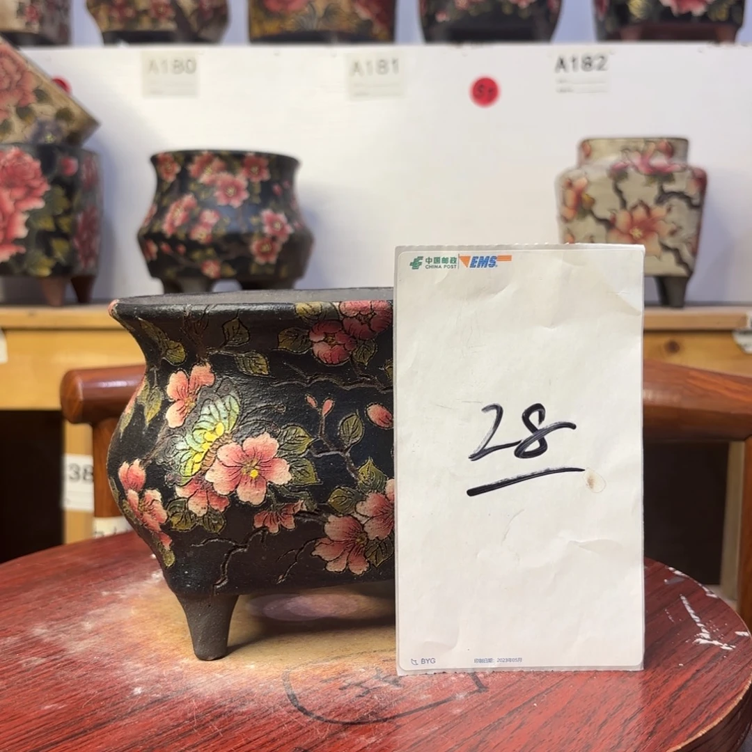 波***u哈哈哈哈哈哈哈哈哈哈哈