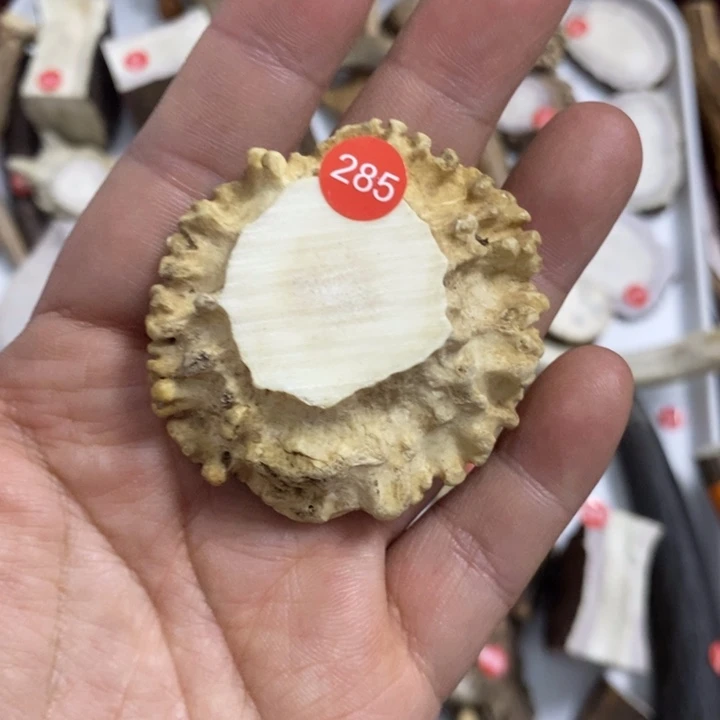 静***路专拍专拍专拍专拍