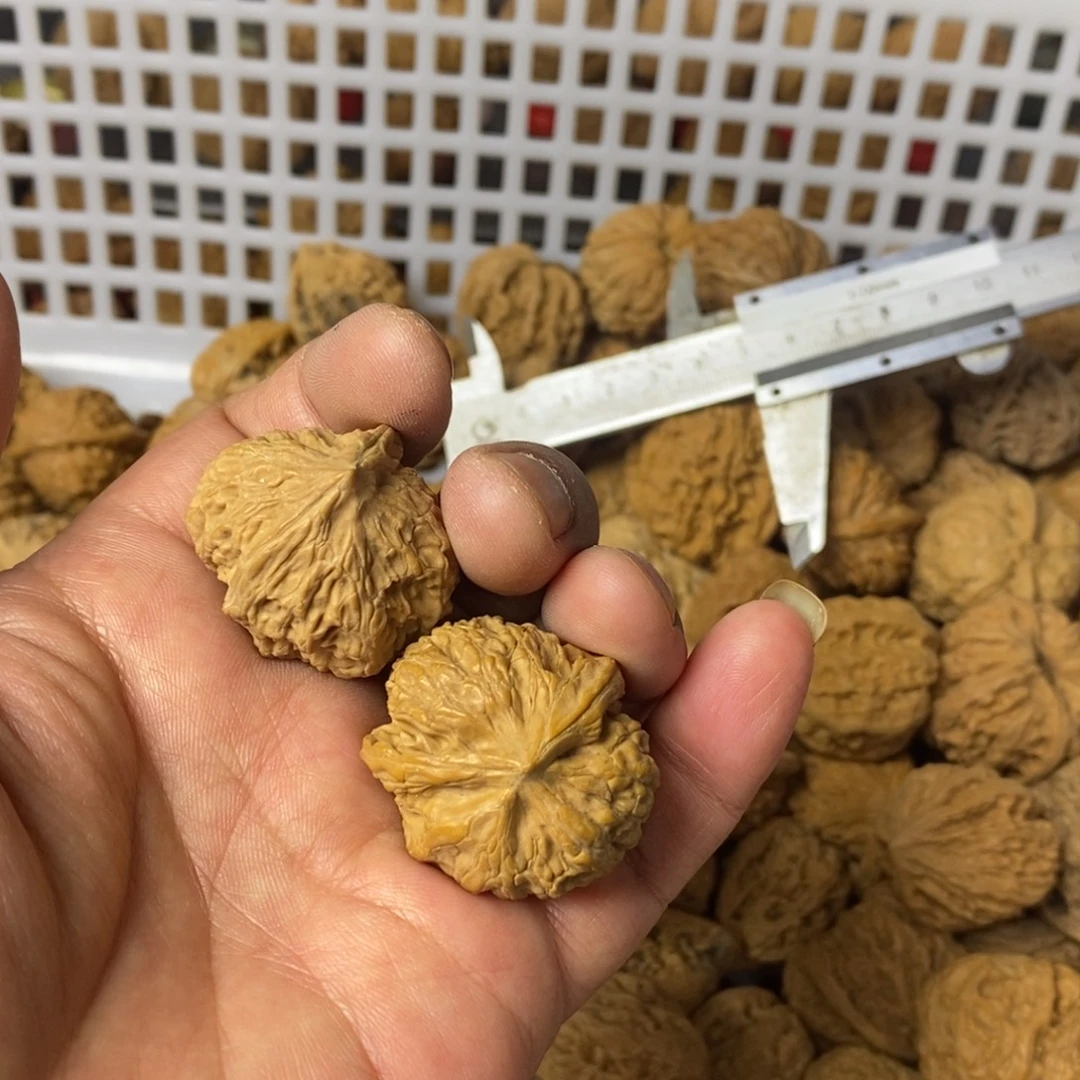 上***۵大叶紫檀（黑酸枝木类）