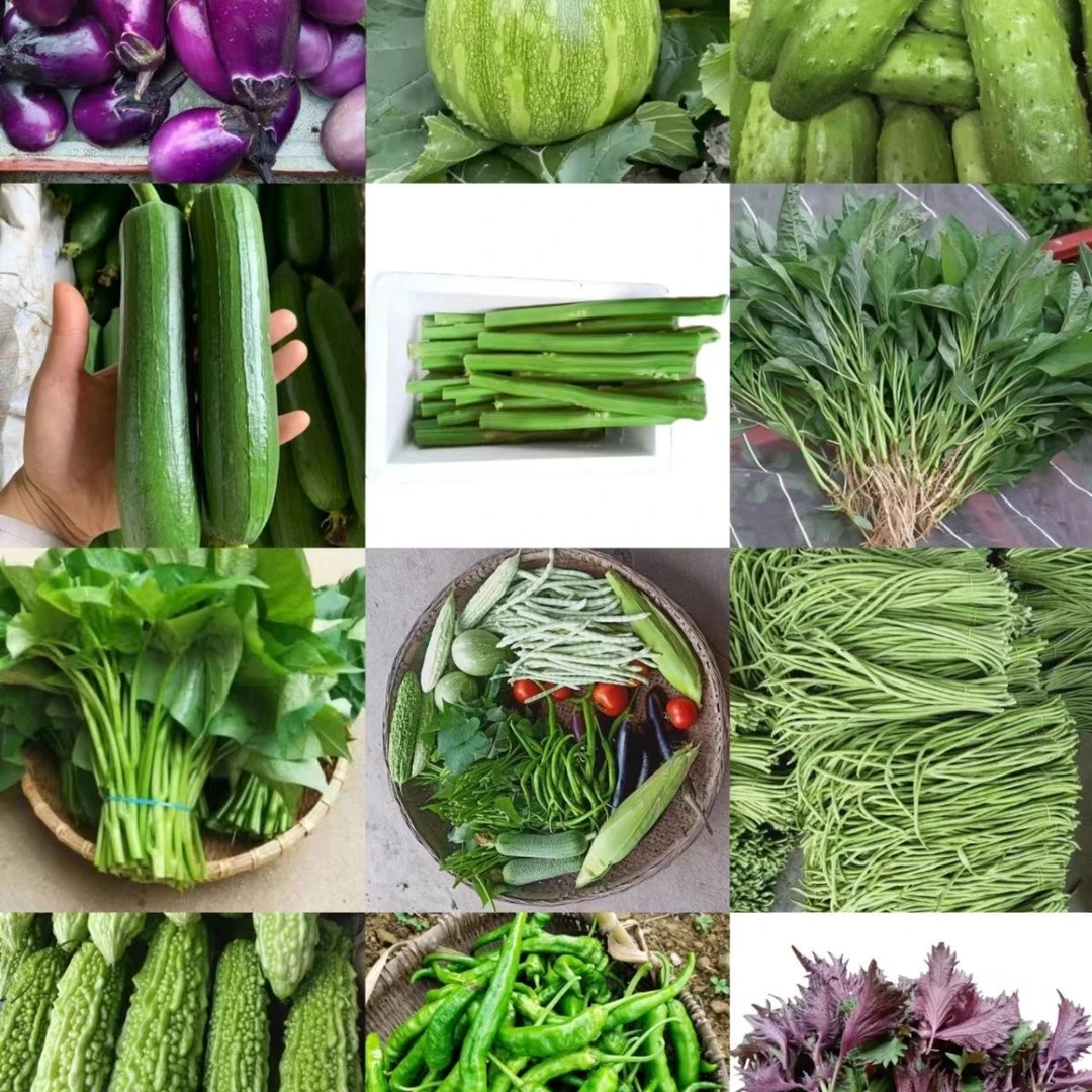 啊玥走乡村农家土特产自种蔬菜综合链接