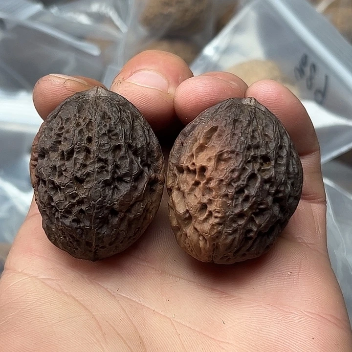 核桃45号橄榄石34尺