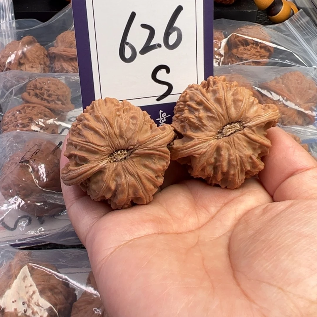 把件桃核626号白狮子44