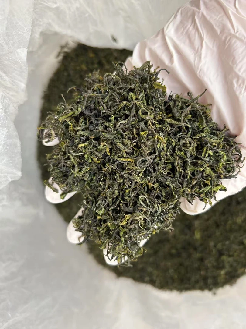 日照绿茶露天春茶手工茶清香型豆香味口感温润耐泡
